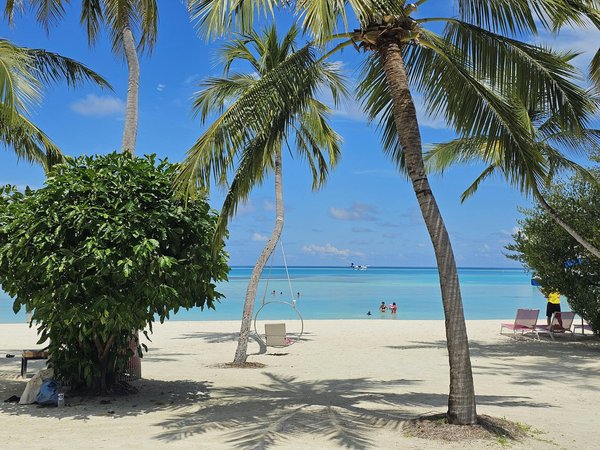 Saveurs surprises : guide gourmand pour vos escapades impromptues